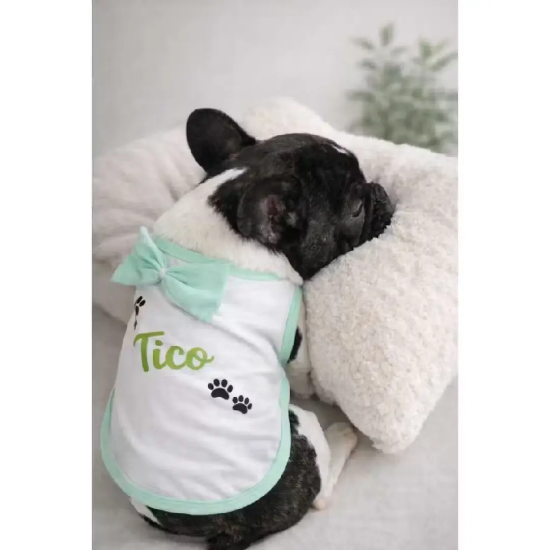 Roupinha pet personalizada com nome — foto 3
