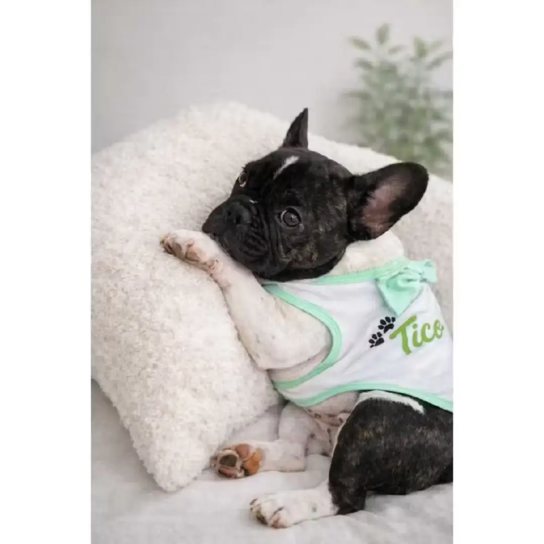 Roupinha pet personalizada com nome — foto 4