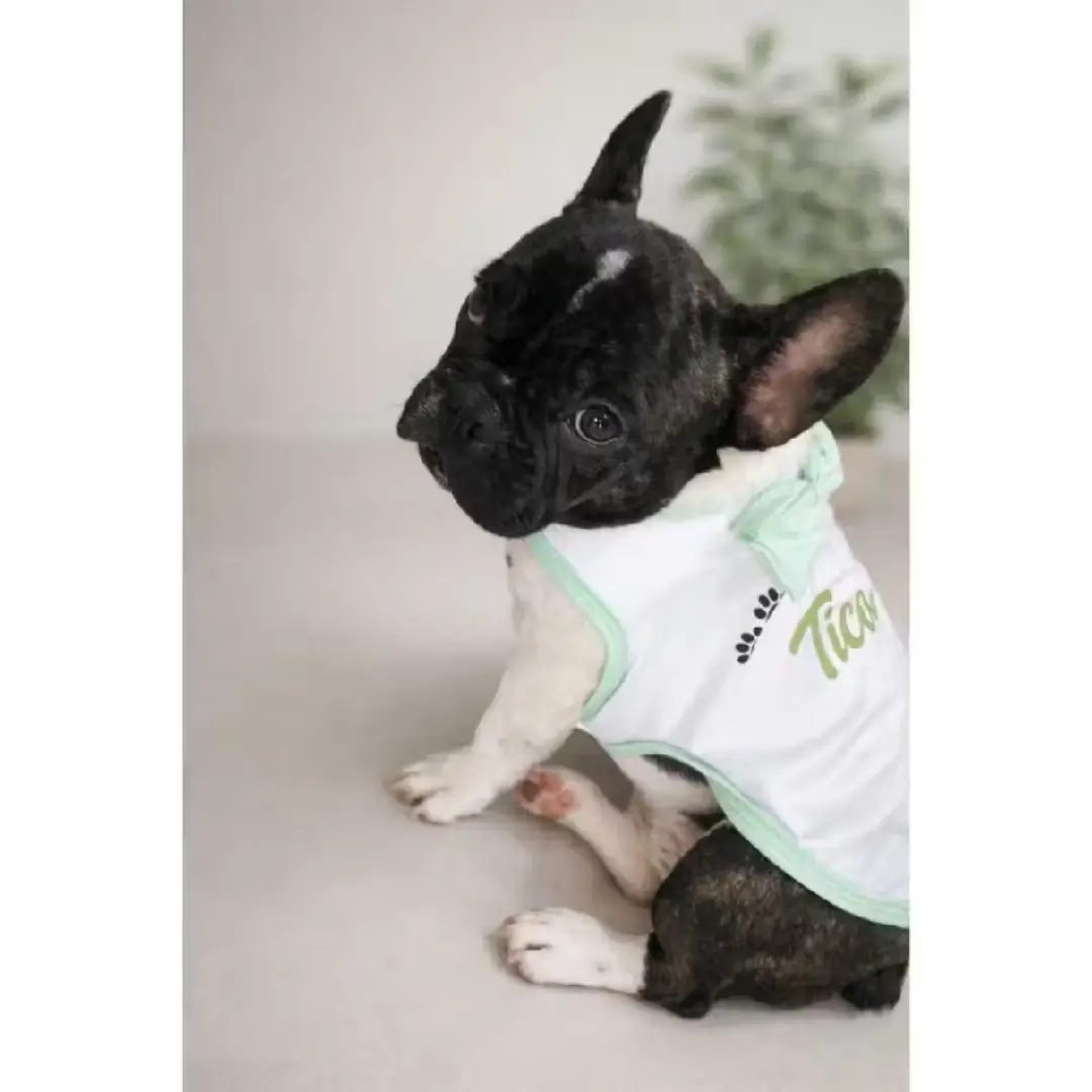 Roupinha pet personalizada com nome — foto 8