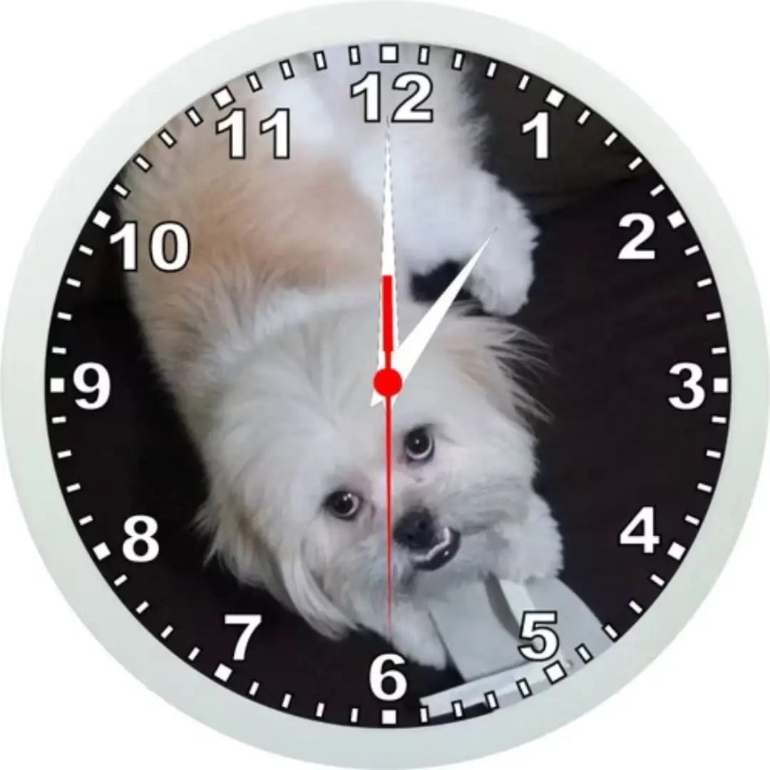 Relógio de parede personalizado com foto, pet ou logo — 24 cm — foto 6